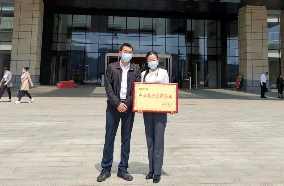 实力彰显!全市工业振兴大会召开,桂林鸿程斩获多项荣誉